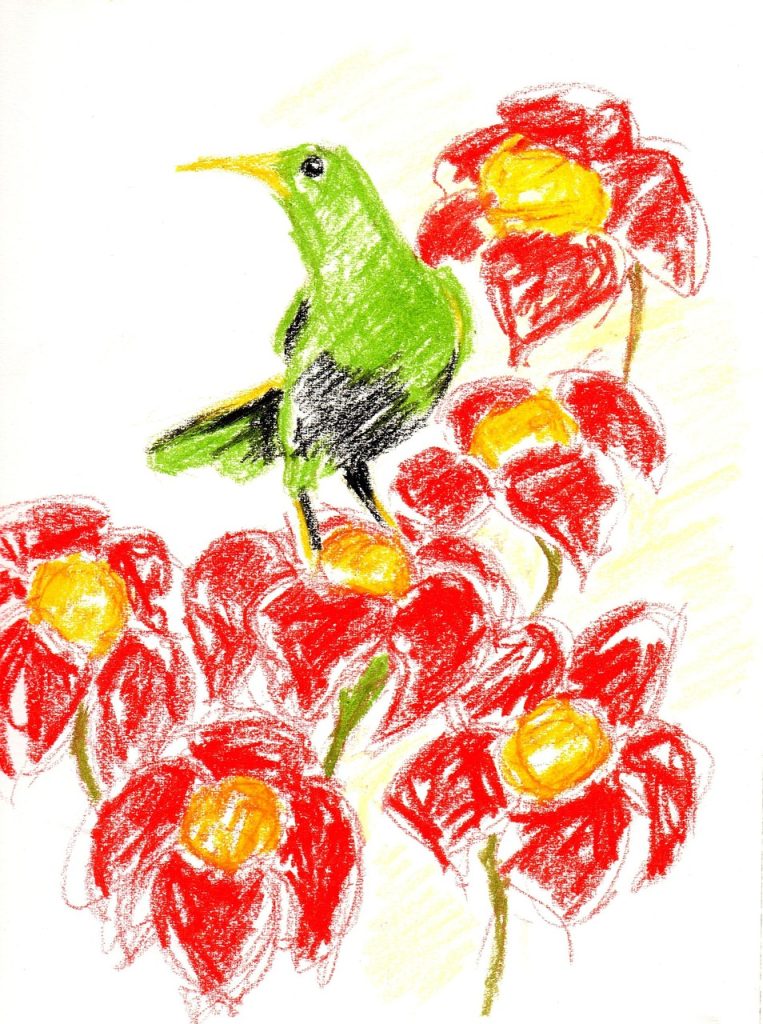 crayon, kid, drawing illustration